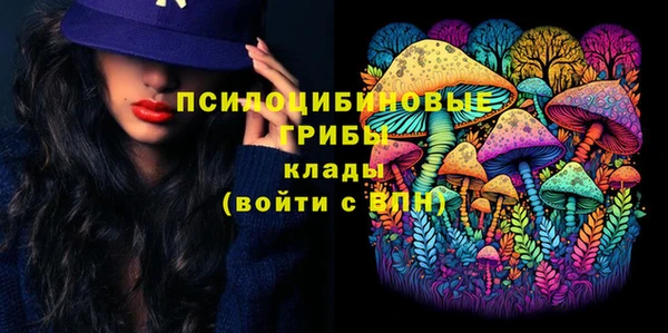 mdpv Вязьма