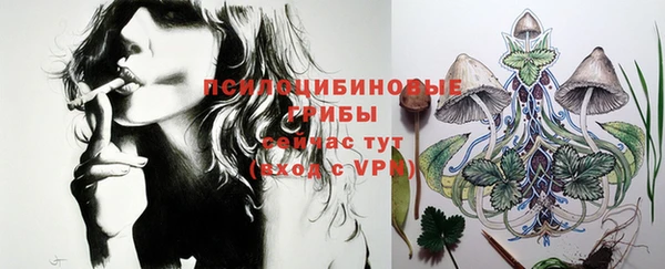 2c-b Вяземский