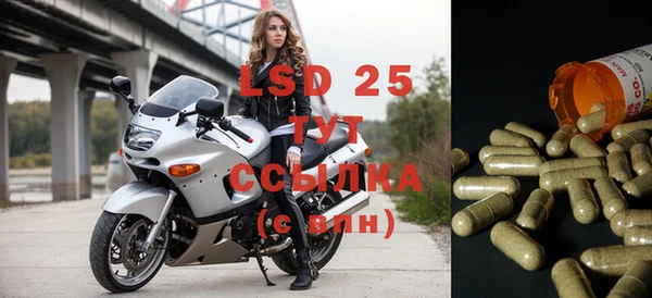 2c-b Вяземский