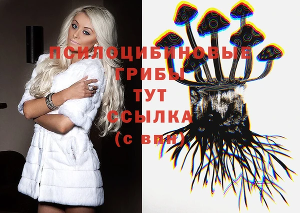 2c-b Вяземский