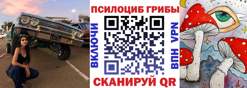 Галлюциногенные грибы GOLDEN TEACHER  Мытищи 